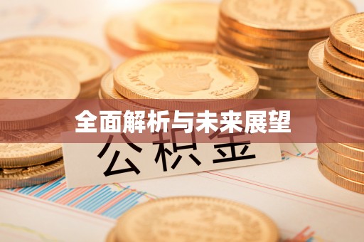 兴文全面解析与未来展望