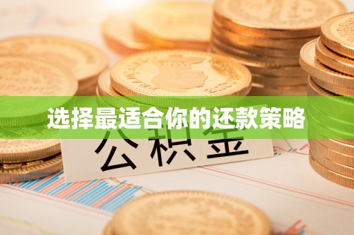 兴文选择最适合你的还款策略