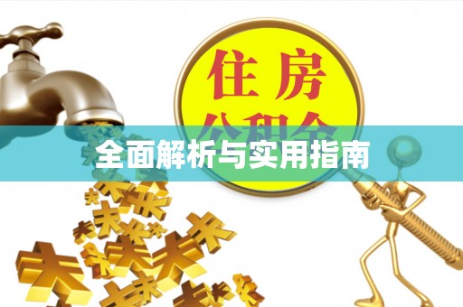 兴文全面解析与实用指南