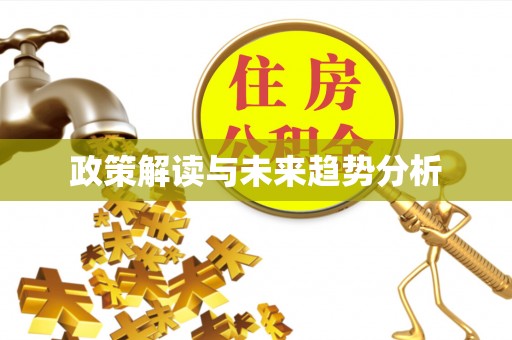 兴文政策解读与未来趋势分析