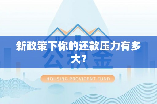 兴文新政策下你的还款压力有多大？