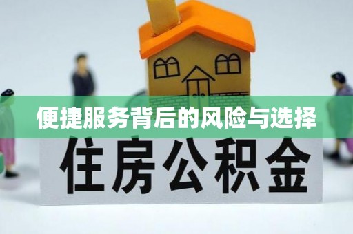 兴文便捷服务背后的风险与选择
