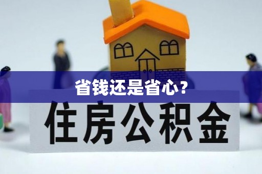 兴文省钱还是省心？