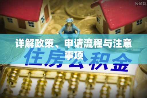 兴文详解政策、申请流程与注意事项