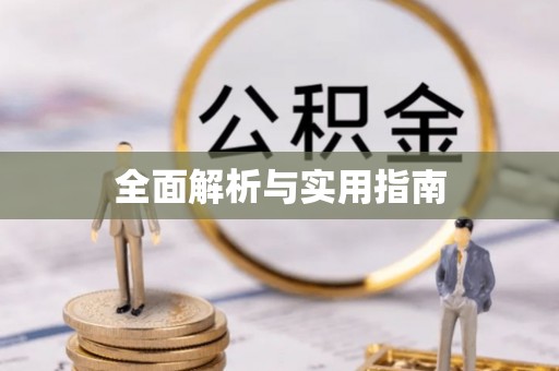 兴文全面解析与实用指南