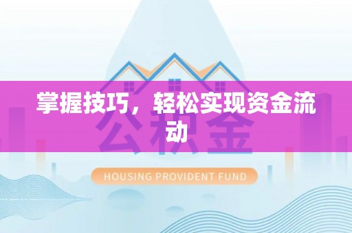 兴文掌握技巧，轻松实现资金流动