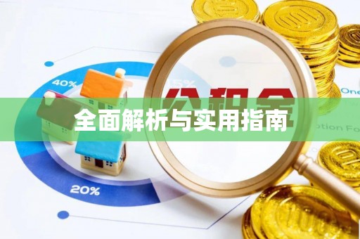 兴文全面解析与实用指南