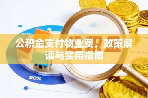 兴文公积金支付物业费，政策解读与实用指南