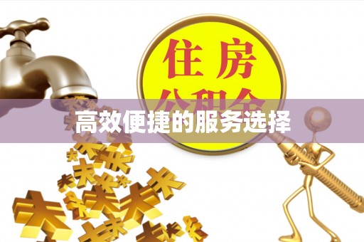 兴文高效便捷的服务选择