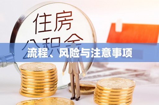 兴文流程、风险与注意事项