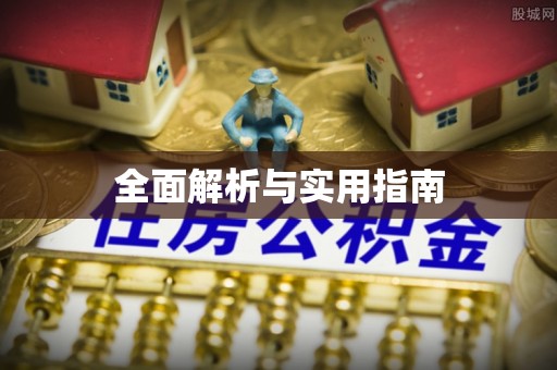 兴文全面解析与实用指南