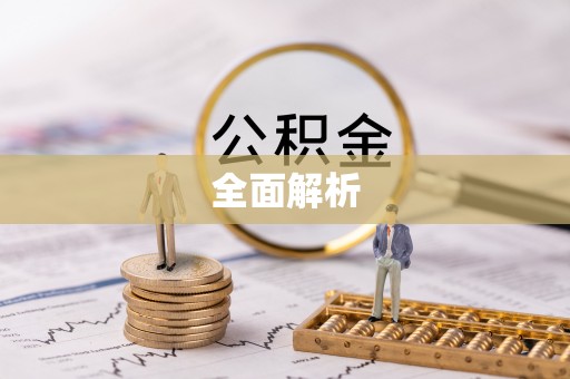 兴文全面解析
