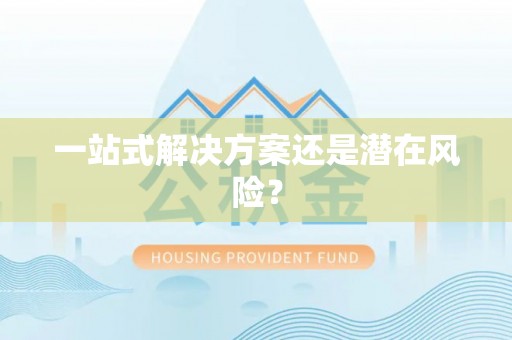 兴文一站式解决方案还是潜在风险？