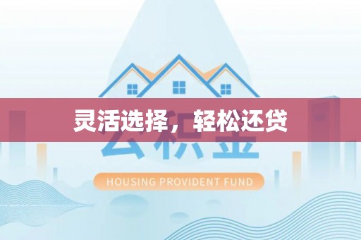 兴文灵活选择，轻松还贷