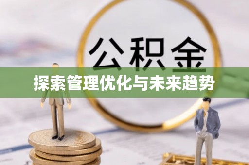 兴文探索管理优化与未来趋势